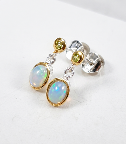 Pair of earrings with opal stones on a white background