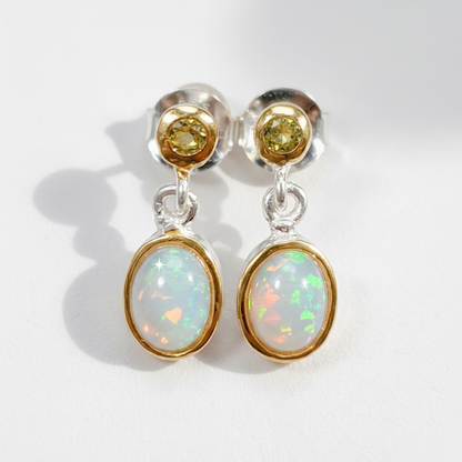 Pair of earrings with opal stones on a white background